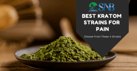 Best Kratom For Pain - Choose From These 4 Strains