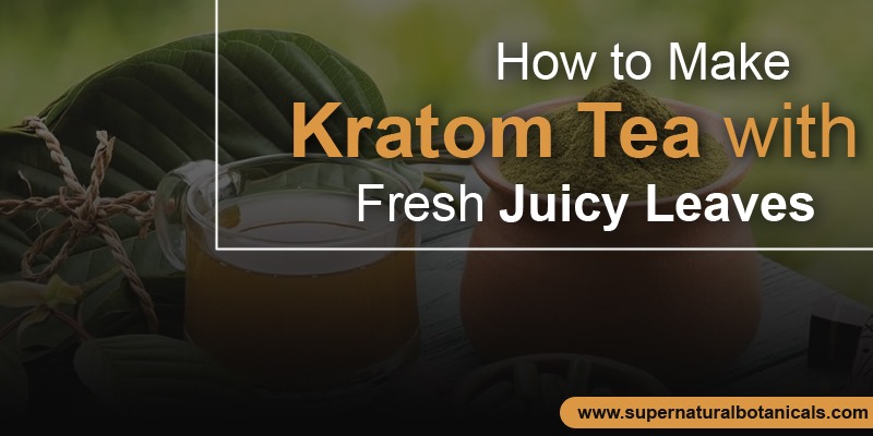 How to Make Kratom Tea with Fresh Juicy Leaves
