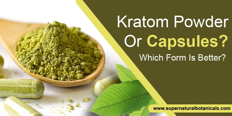 Kratom Powder Or Capsules Which Form Is Better