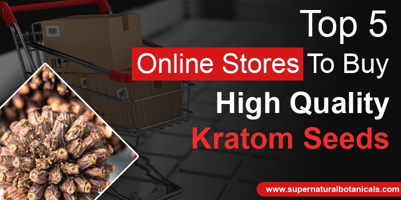 Top 5 Online Stores To Buy High Quality Kratom Seeds