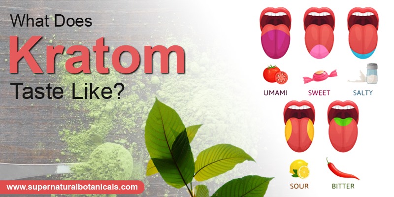 What Does Kratom Taste Like