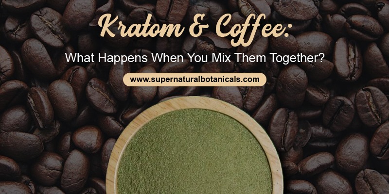 Kratom & Coffee What Happens When You Mix Them Together