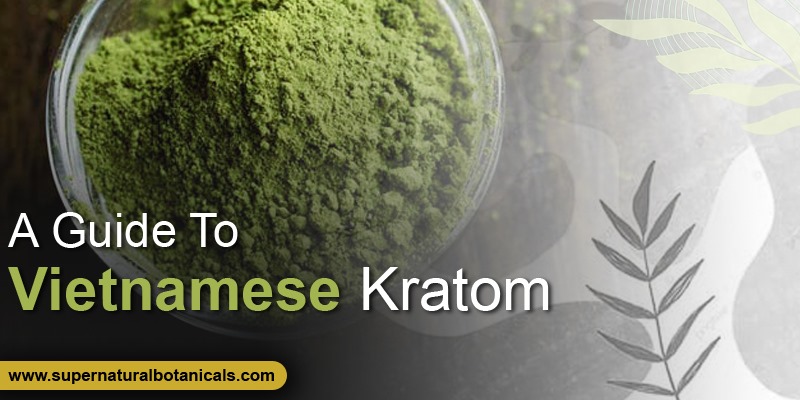 A Guide To Vietnamese Kratom