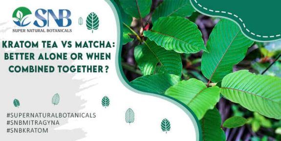 Kratom Tea vs. Matcha: Better Alone or When Combined Together?