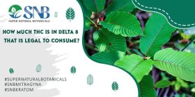 THC In Delta 8 Legal to Consume