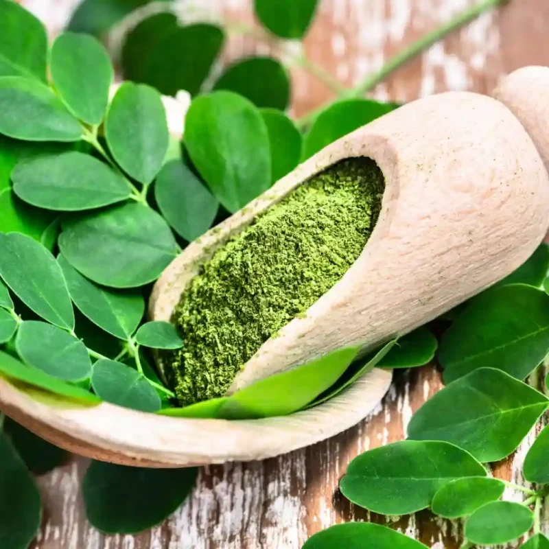 Kratom and Moringa How One Is Better Than The Other