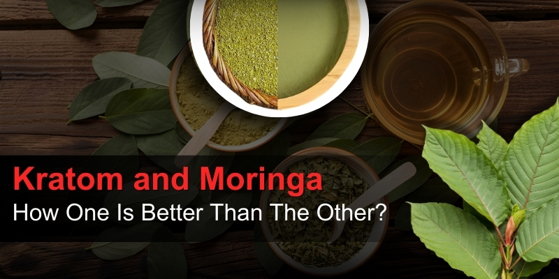 kratom moringa benefits