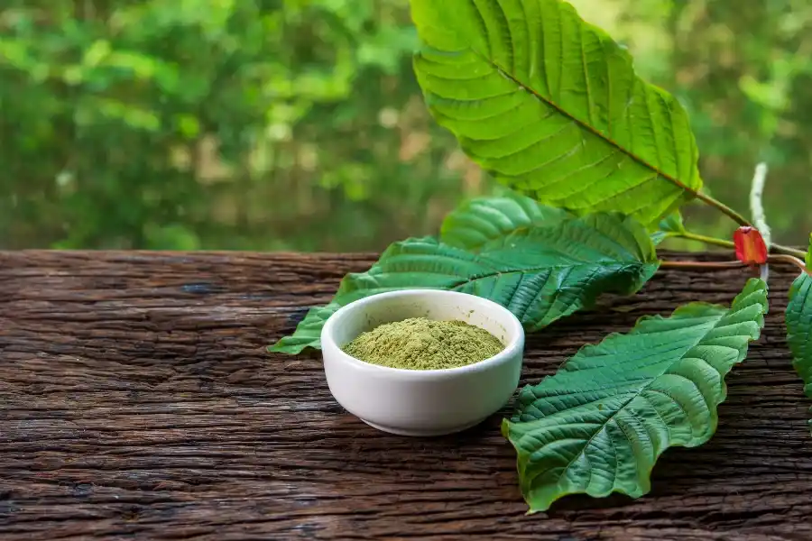 Organic Kratom Vs. Natural Kratom - Which Is A Better Option For You