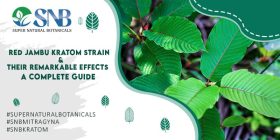 Red Jambu Kratom Strain