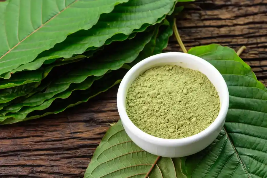 White Horn Kratom - What To Expect From This Strain