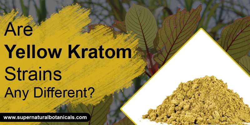Are Yellow Kratom Strains Any Different