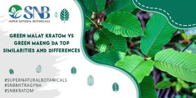 Green Malay Kratom