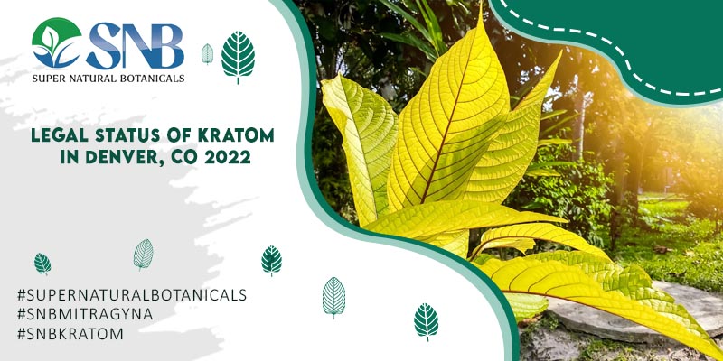 Kratom in Denver