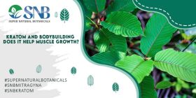 Kratom and Bodybuilding