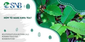 Make Kava Tea