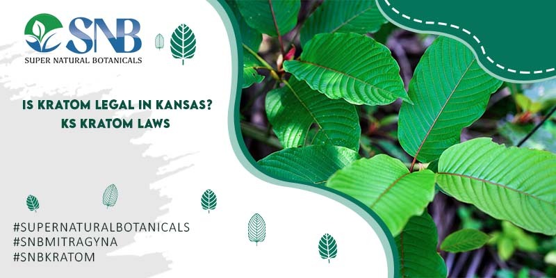 Is Kratom Legal in Kansas