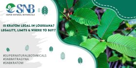 Is Kratom Legal in Louisiana