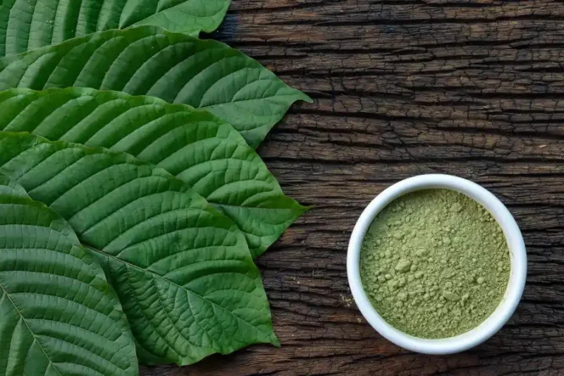 Kratom Legality in Connecticut