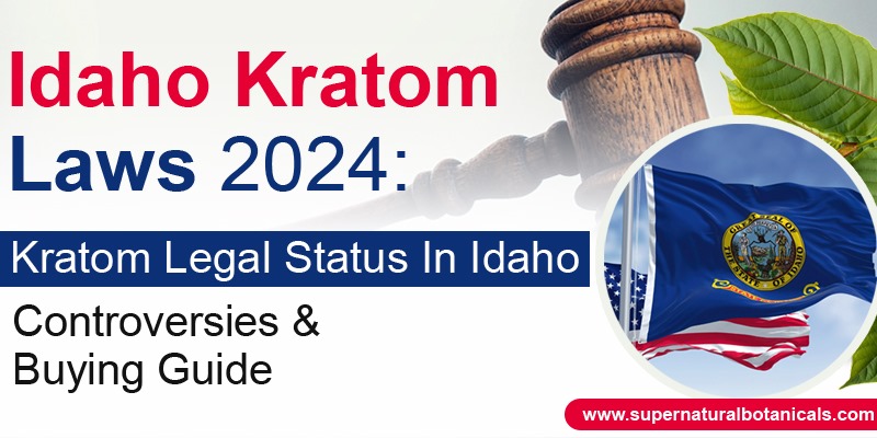 Idaho Kratom Laws 2024 Kratom Legal Status In Idaho, Controversies & Buying Guide