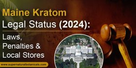 Maine Kratom Legal Status (2024) Laws, Penalties & Local Stores