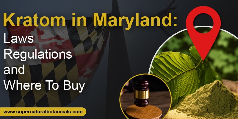 Kratom in Maryland Laws, Regulations, and Where To Buy