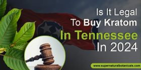 Is It Legal To Buy Kratom In Tennessee In 2024