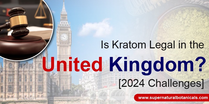 Is Kratom Legal in the United Kingdom [2024 Challenges]