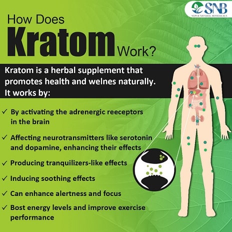 how does kratom work body