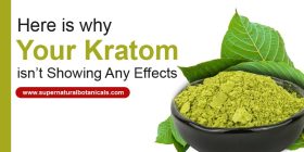 Here is why your Kratom isn’t showing any effects