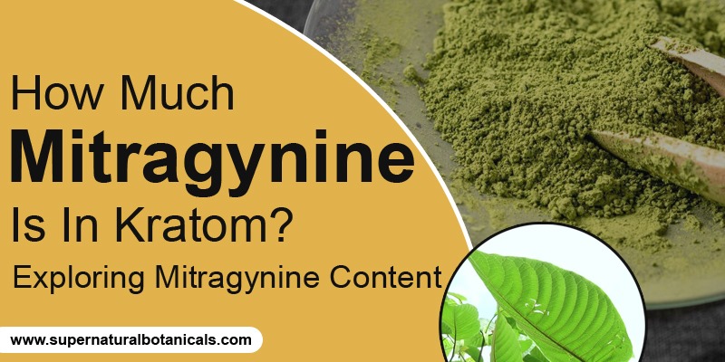 How Much Mitragynine Is In Kratom? Exploring Mitragynine Content