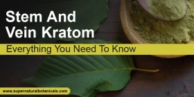 Stem And Vein Kratom Everything You Need To Know