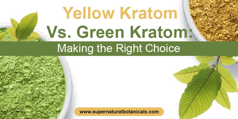 Yellow Kratom vs. Green Kratom Making the Right Choice