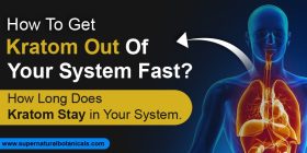 How To Get Kratom Out Of Your System Fast How Long Does Kratom Stay in Your System.