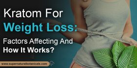 Kratom For Weight Loss – Factors Affecting And How It Works