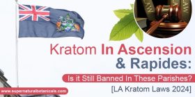 Kratom In Ascension & Rapides Is it Still Banned In These Parishes [LA Kratom Laws 2024]