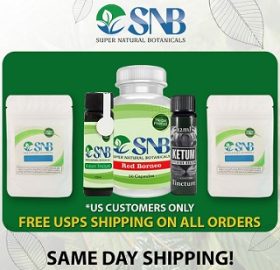 same day shipping kratom products