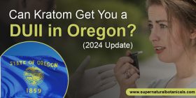 Can Kratom Get You a DUII in Oregon (2024 Update)