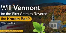 Will Vermont be the First State to Reverse the Kratom Ban (2024 Insights)