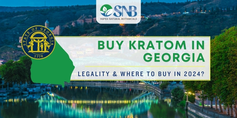 Buy Kratom In Georgia - Legality & Where To Buy In 2024?