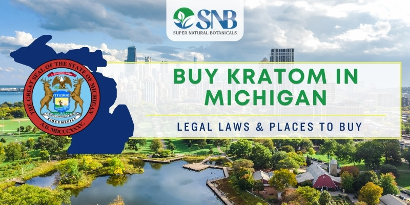 Buy Kratom In Michigan – Legal Laws & Places To Buy