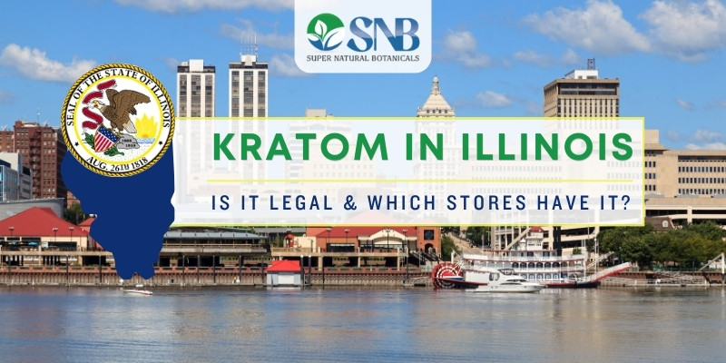Kratom In Illinois – Is It Legal & Which Stores Have It?