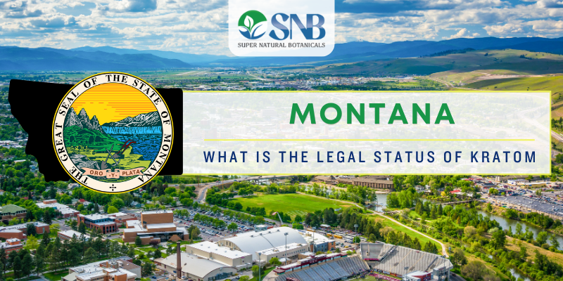 What Is The Legal Status Of Kratom In Montana MT Kratom Laws (2024)