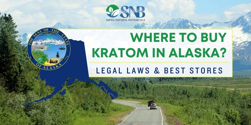 Where To Buy Kratom in Alaska? – Legal Laws & Best Stores