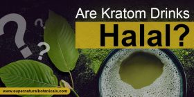 Are Kratom Drinks Halal?