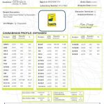 SG Super Baked Sour Diesel SBSD24041701 page 001