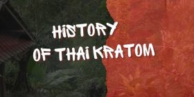 History of Thailand Kratom